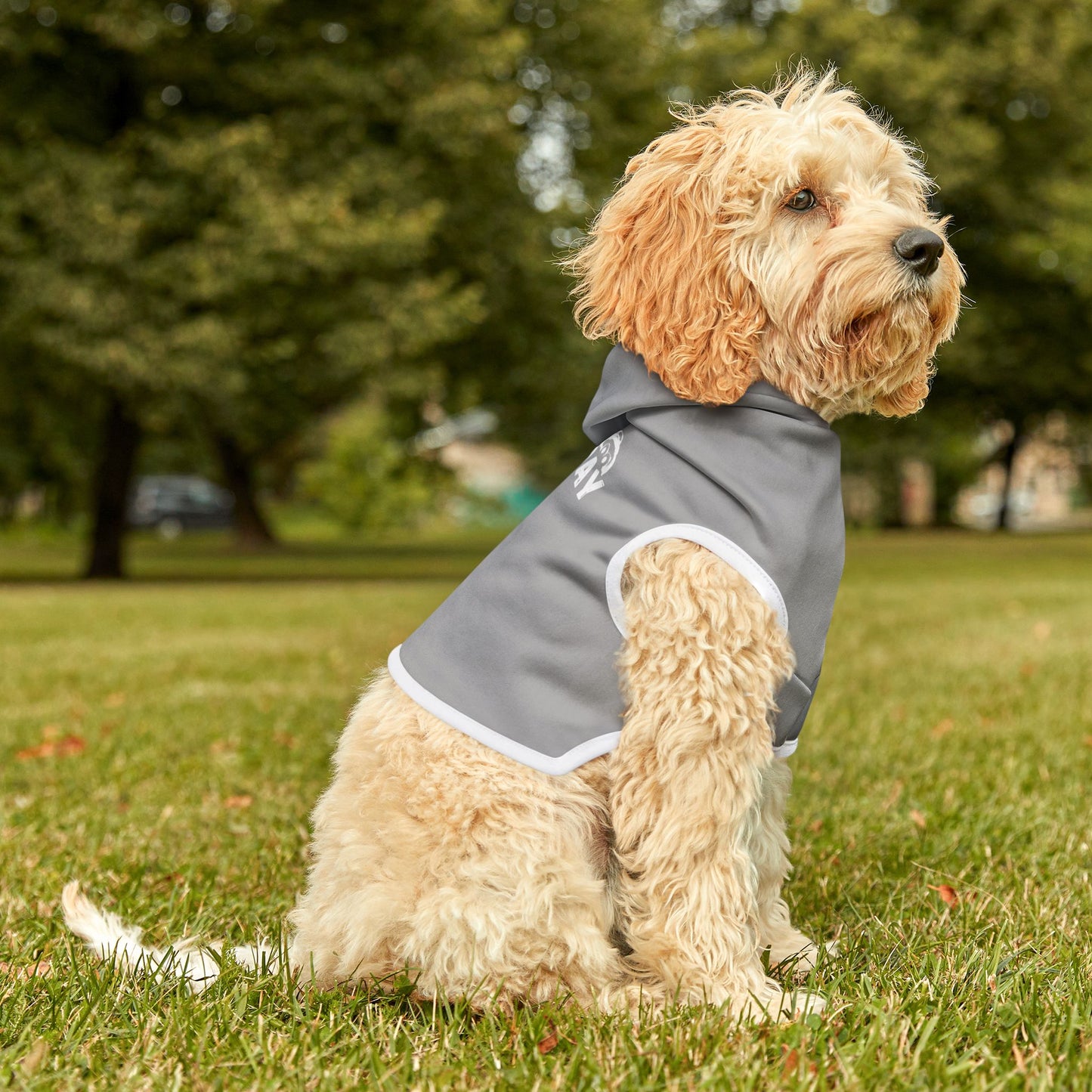 Pet Hoodie for Stylish Pets - Lazy Day Hermit