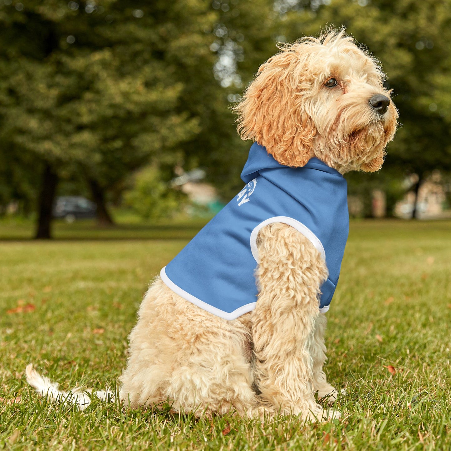 Pet Hoodie for Stylish Pets - Lazy Day Hermit