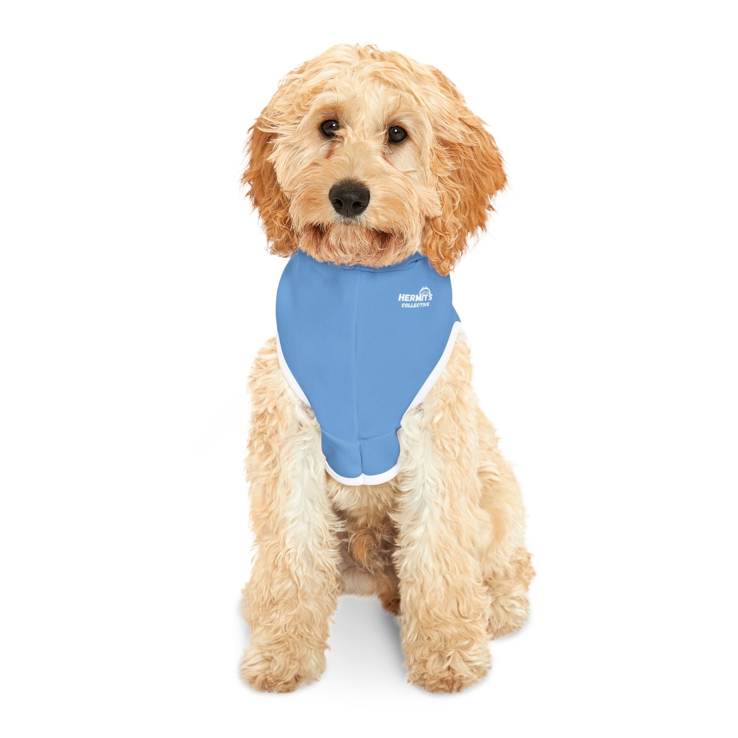 Pet Hoodie for Stylish Pets - Lazy Day Hermit