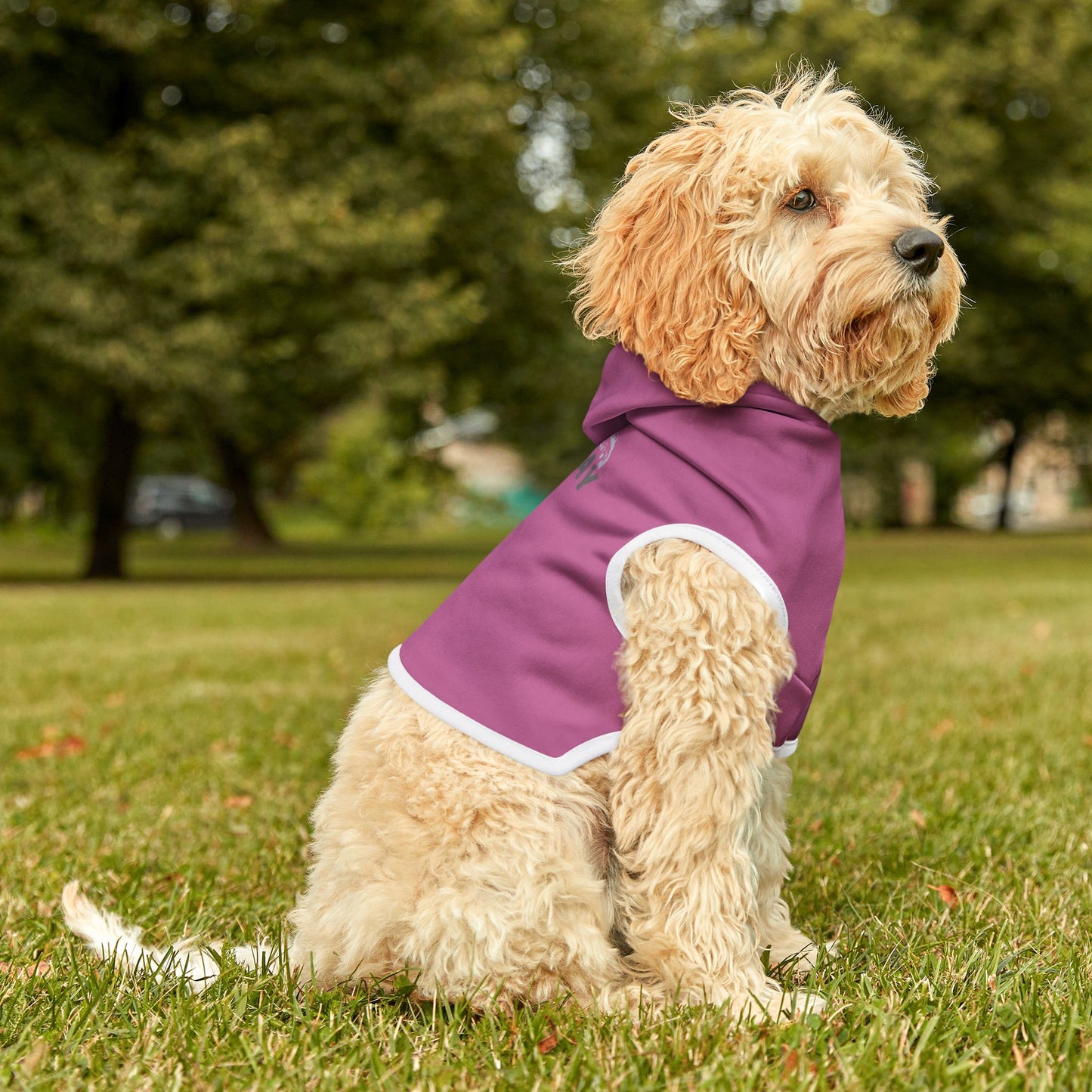 Pet Hoodie for Stylish Pets - Lazy Day Hermit