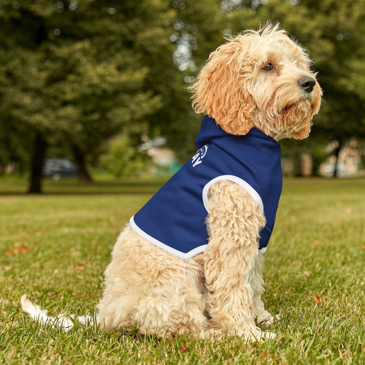Pet Hoodie for Stylish Pets - Lazy Day Hermit